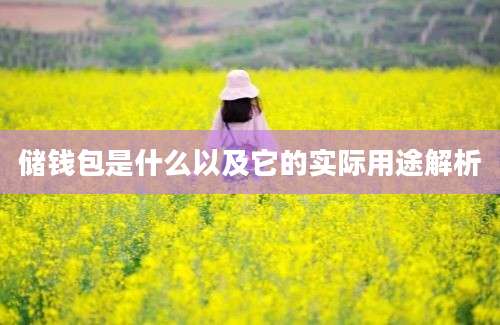 储钱包是什么以及它的实际用途解析