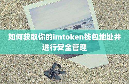 如何获取你的imtoken钱包地址并进行安全管理