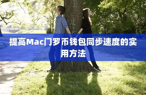 提高Mac门罗币钱包同步速度的实用方法