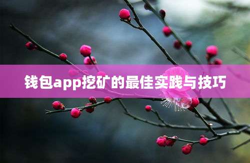 钱包app挖矿的最佳实践与技巧