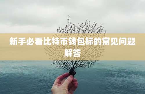 新手必看比特币钱包标的常见问题解答