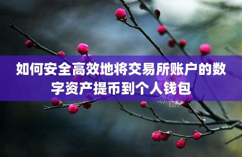 如何安全高效地将交易所账户的数字资产提币到个人钱包