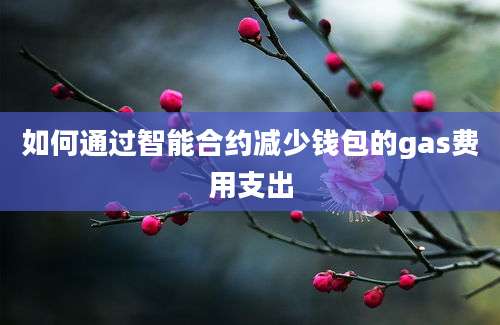 如何通过智能合约减少钱包的gas费用支出