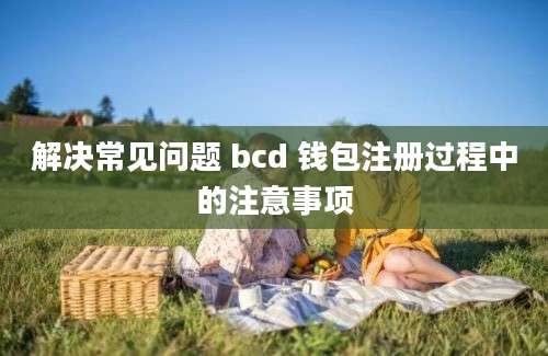 解决常见问题 bcd 钱包注册过程中的注意事项