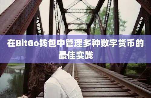 在BitGo钱包中管理多种数字货币的最佳实践