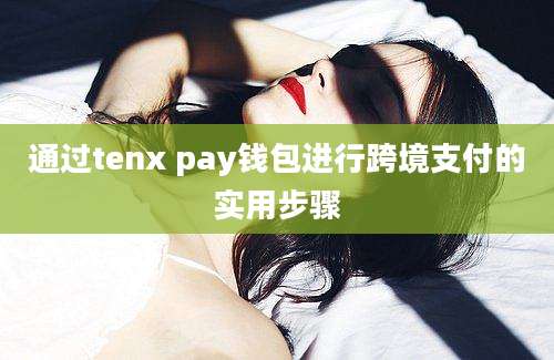 通过tenx pay钱包进行跨境支付的实用步骤