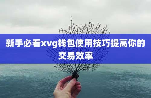 新手必看xvg钱包使用技巧提高你的交易效率