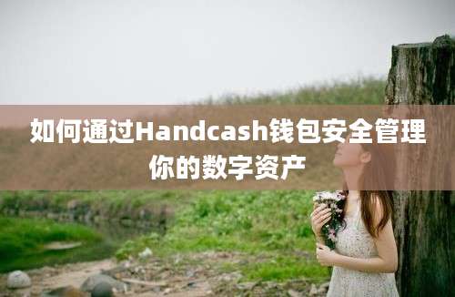 如何通过Handcash钱包安全管理你的数字资产