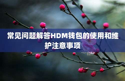 常见问题解答HDM钱包的使用和维护注意事项