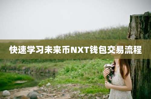 快速学习未来币NXT钱包交易流程