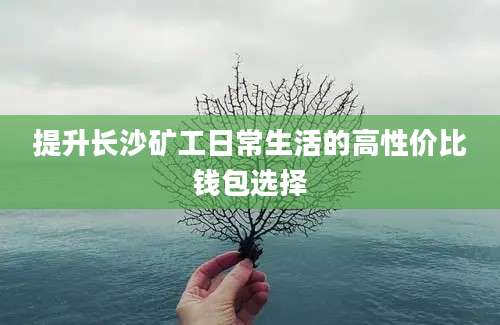 提升长沙矿工日常生活的高性价比钱包选择