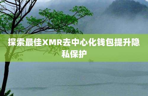 探索最佳XMR去中心化钱包提升隐私保护