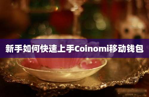 新手如何快速上手Coinomi移动钱包