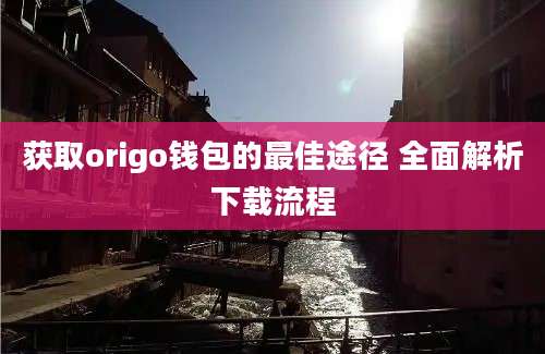 获取origo钱包的最佳途径 全面解析下载流程