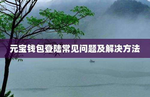 元宝钱包登陆常见问题及解决方法