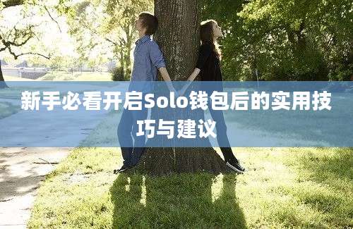 新手必看开启Solo钱包后的实用技巧与建议