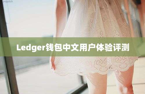 Ledger钱包中文用户体验评测