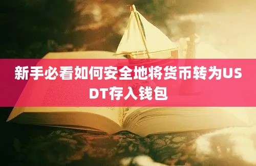 新手必看如何安全地将货币转为USDT存入钱包