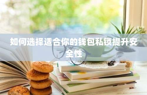 如何选择适合你的钱包私锁提升安全性