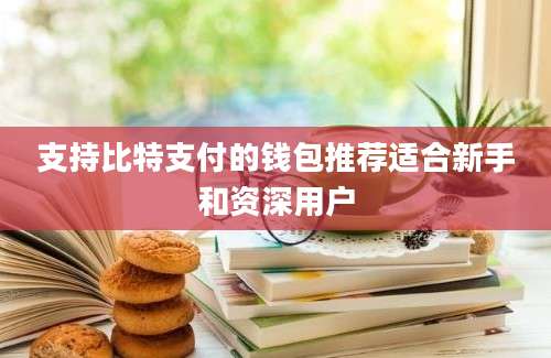 支持比特支付的钱包推荐适合新手和资深用户