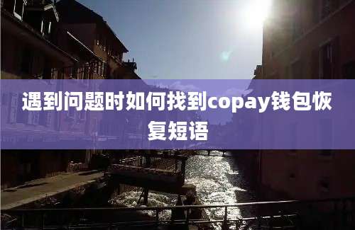 遇到问题时如何找到copay钱包恢复短语