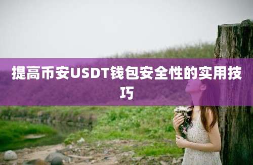 提高币安USDT钱包安全性的实用技巧