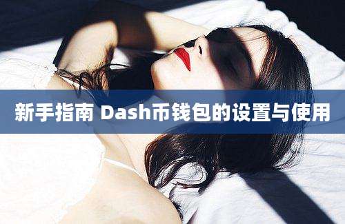 新手指南 Dash币钱包的设置与使用