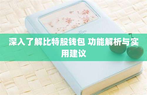 深入了解比特股钱包 功能解析与实用建议