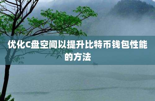 优化C盘空间以提升比特币钱包性能的方法