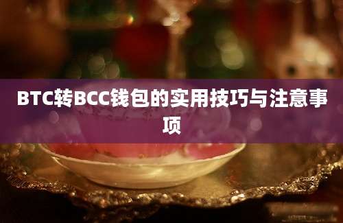 BTC转BCC钱包的实用技巧与注意事项