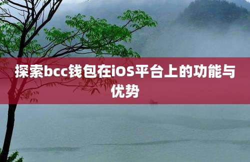 探索bcc钱包在iOS平台上的功能与优势