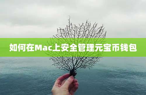 如何在Mac上安全管理元宝币钱包