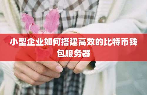 小型企业如何搭建高效的比特币钱包服务器