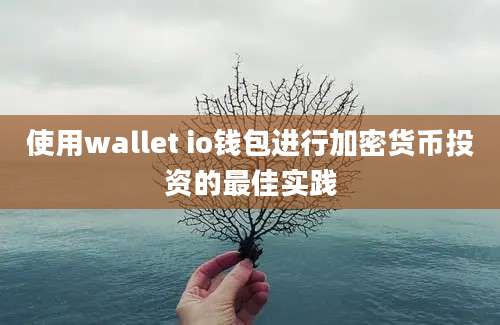 使用wallet io钱包进行加密货币投资的最佳实践