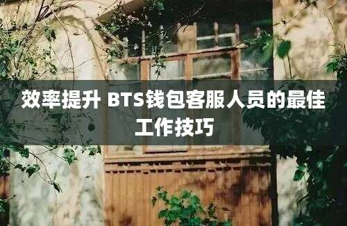 效率提升 BTS钱包客服人员的最佳工作技巧