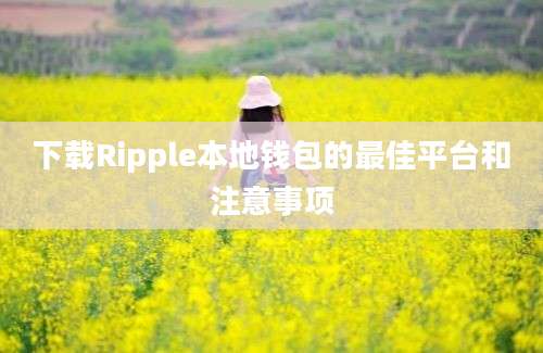 下载Ripple本地钱包的最佳平台和注意事项