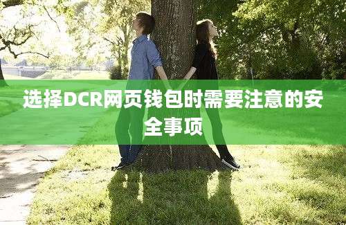 选择DCR网页钱包时需要注意的安全事项