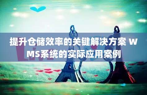 提升仓储效率的关键解决方案 WMS系统的实际应用案例