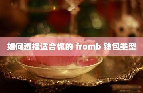 如何选择适合你的 fromb 钱包类型