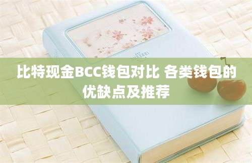 比特现金BCC钱包对比 各类钱包的优缺点及推荐