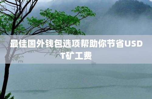 最佳国外钱包选项帮助你节省USDT矿工费