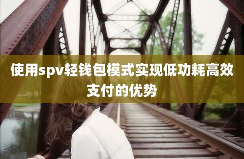 使用spv轻钱包模式实现低功耗高效支付的优势