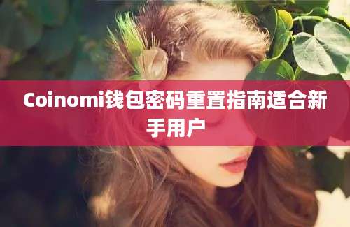 Coinomi钱包密码重置指南适合新手用户