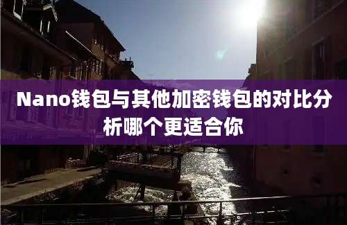 Nano钱包与其他加密钱包的对比分析哪个更适合你