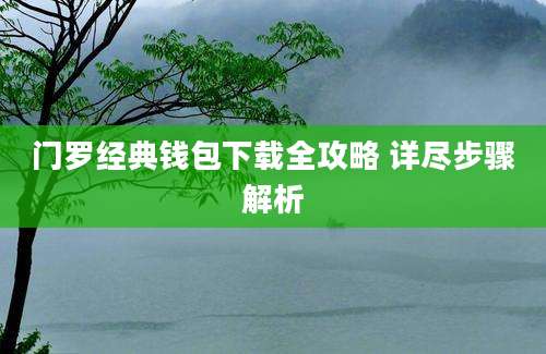 门罗经典钱包下载全攻略 详尽步骤解析